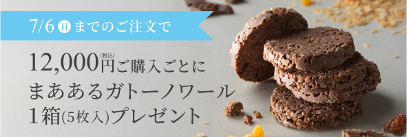 まああるガトーノワール(5枚入)1箱プレゼント特典