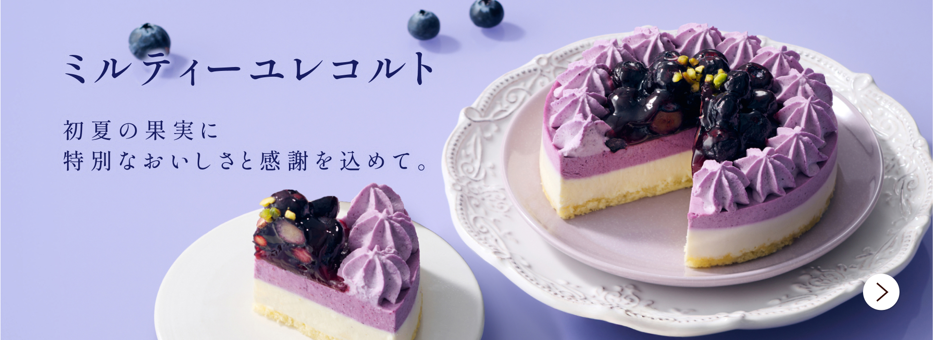 ミルティーユレコルト