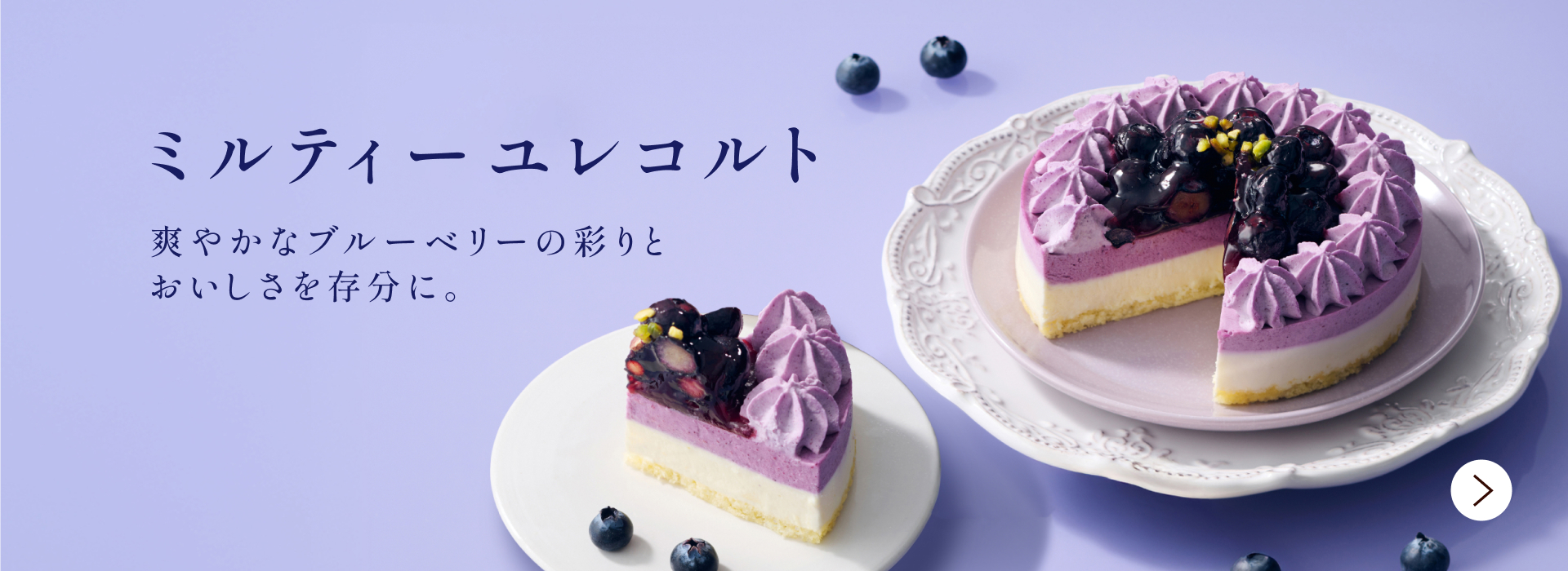 ミルティーユレコルト
