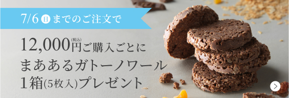 まああるガトーノワールプレゼント