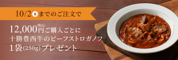 ビーフストロガノフ1袋プレゼント特典