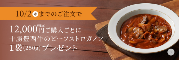 ビーフストロガノフプレゼント
