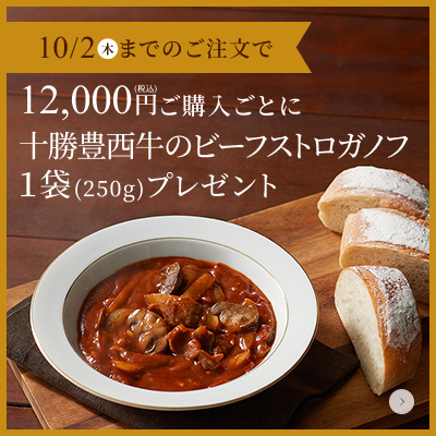 ビーフストロガノフプレゼント