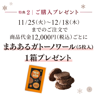 ご購入プレゼント